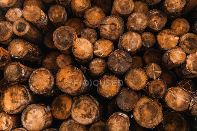 Pile of firewood logs of different sizes stacked together in countryside yard in Italy — Stock Photo