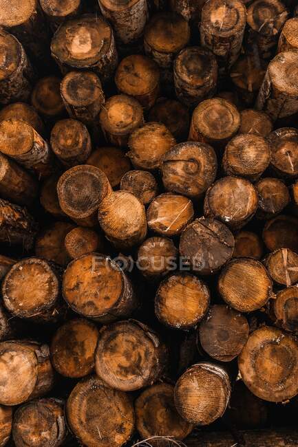 Pile of firewood logs of different sizes stacked together in countryside yard in Italy — Stock Photo