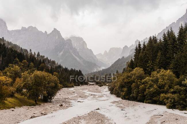 Живописный вид на песчаную дорогу между деревьями и высокими горами под облачным небом в Доломитовых Альпах — стоковое фото