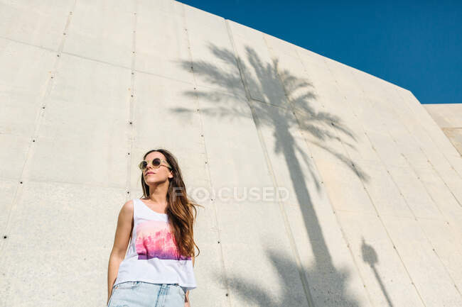 Bajo ángulo de mujer joven con estilo en gafas de sol de moda con top negro y jeans de pie cerca de un edificio moderno con sombra de palma tropical en la pared en un día soleado de verano - foto de stock