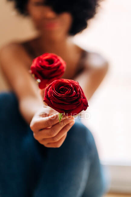 Ritaglia anonima afroamericana seduta a casa e mostrando teneri fiori di rosa rossa alla fotocamera — Foto stock