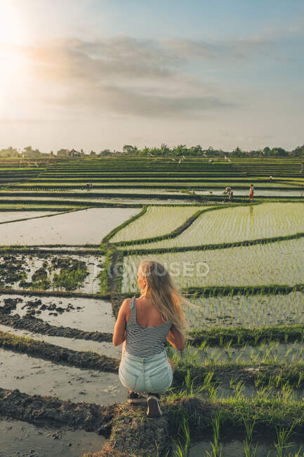 Blonde Frau steht in einem Reisfeld in Kajsa — Stockfoto