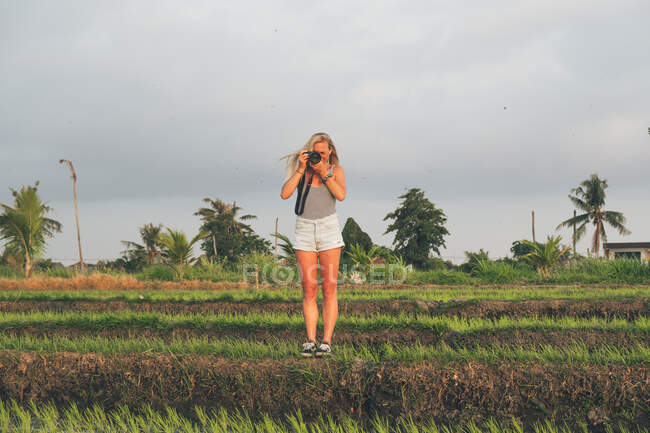 Блондинка фотографирует на рисовом поле в Кайсе — стоковое фото