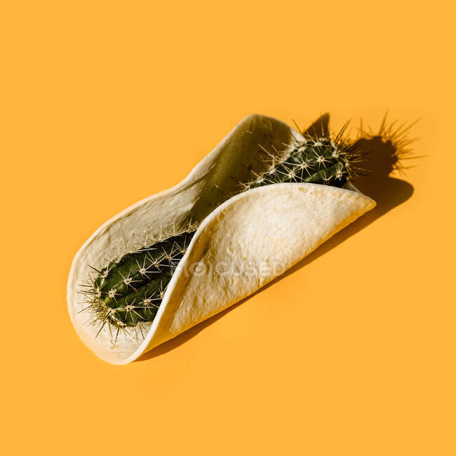 De acima mencionada composição de vida morta minimalista com hastes de cacto verde colocadas no chip de tortilla redonda no fundo amarelo — Fotografia de Stock