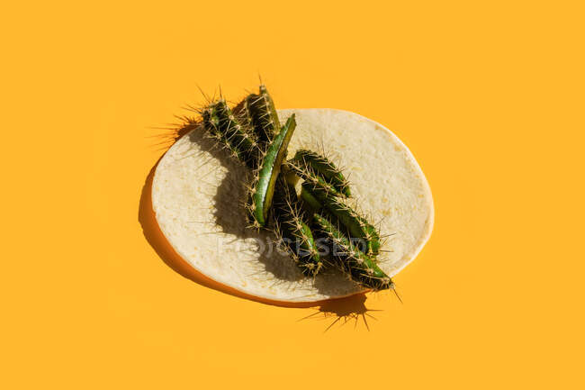 Зверху мінімалістична натюрмортна композиція з зеленими стеблами кактуса, розміщеними на круглому чіпі тортильї на жовтому тлі — стокове фото