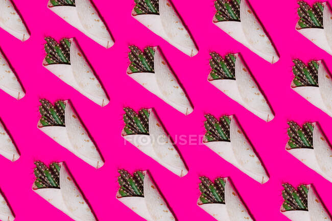 Modello a cornice completa vista dall'alto con involucri di tortilla con piante di cactus verdi disposte in ordine su sfondo rosa brillante — Foto stock