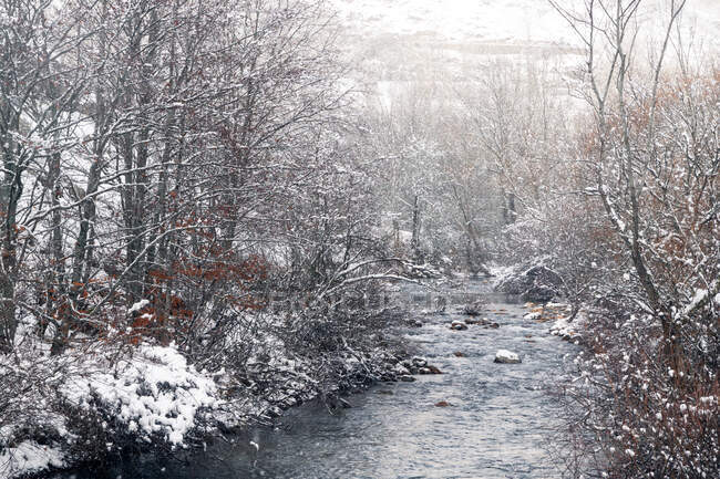 Nevando em paisagem de inverno de um rio — Fotografia de Stock