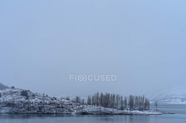 Schnee in der Winterlandschaft eines Sees mit einer Baumgruppe an einem nebligen Tag — Stockfoto