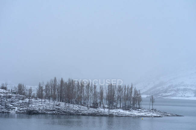 Neve nel paesaggio invernale di un lago con un gruppo di alberi in una giornata nebbiosa — Foto stock