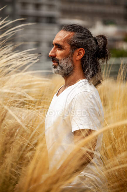 Hombre hispano sin afeitar vestido de blanco sentado durante la meditación entre la hierba dorada a la luz del día - foto de stock