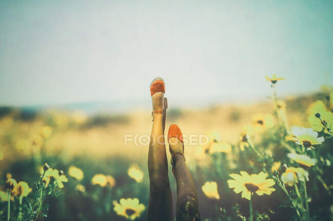 Anonymous female in summer shoes swinging legs against projection of field with yellow flowers — Stock Photo