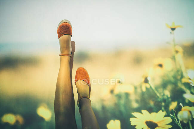Anonimo femmina in estate scarpe oscillante gambe contro la proiezione di campo con fiori gialli — Foto stock