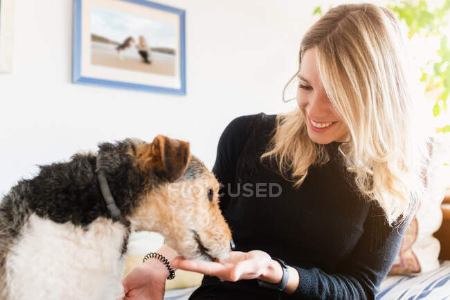 Fröhliche blonde Hündin streichelt Maulkorb eines freundlichen reinrassigen Hundes, während sie sich im Haus auf dem Bett ausruht — Stockfoto