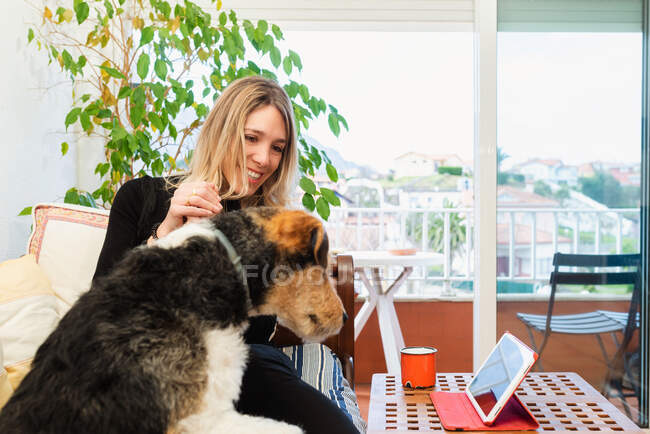Amigável fêmea interagindo com cão de raça pura atencioso contra tablet com tela preta na mesa em casa — Fotografia de Stock