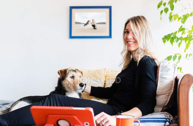 Дружелюбная женщина взаимодействует с внимательной чистокровной собакой против планшета с черным экраном на столе дома — стоковое фото