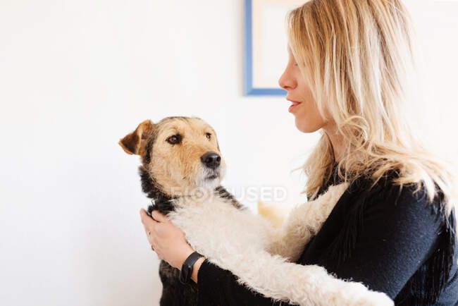 Candid female embracing cute purebred dog while resting on soft bed with cushions at home — Stock Photo