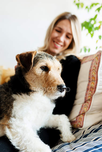 Ehrliche Hündin umarmt niedlichen reinrassigen Hund, während sie auf weichem Bett mit Kissen zu Hause ruht — Stockfoto