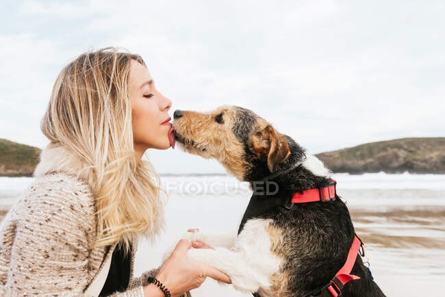 Vista laterale del simpatico cane di razza pura leccare mento della donna, mentre guardando l'un l'altro contro il mare sotto cielo nuvoloso — Foto stock