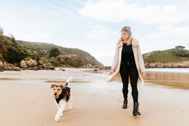 Female strolling with purebred dog on sandy ocean coast against mounts — Stock Photo