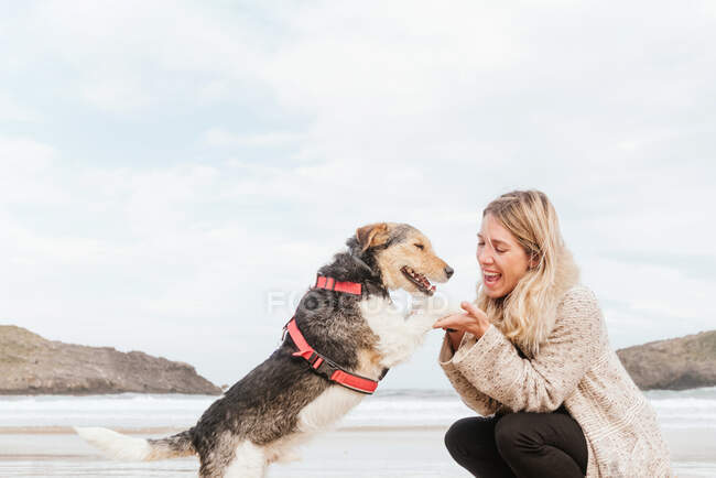 Side view of woman holding paws of cute purebred dog while looking at each other against sea under cloudy sky — Stock Photo