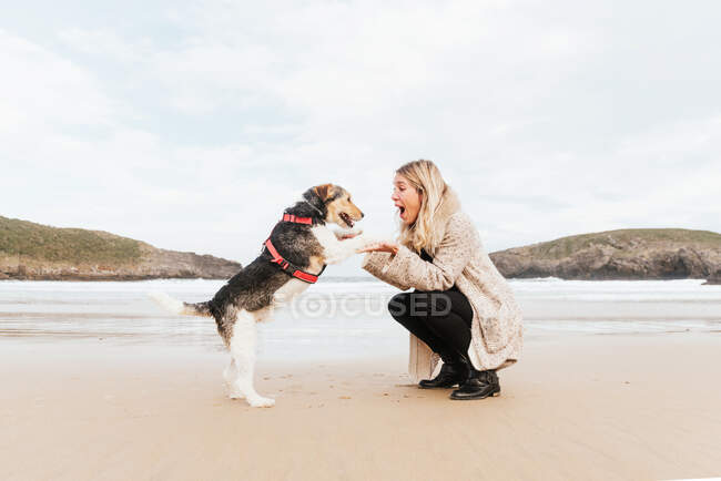 Seitenansicht der Frau umarmt niedlichen reinrassigen Hund, während sie einander gegen das Meer unter bewölktem Himmel — Stockfoto