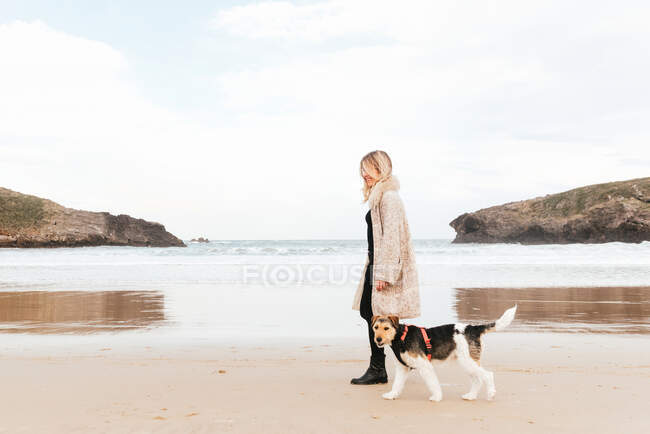 Vista lateral de hembra paseando con perro de raza pura en la costa del océano arenoso contra monturas - foto de stock