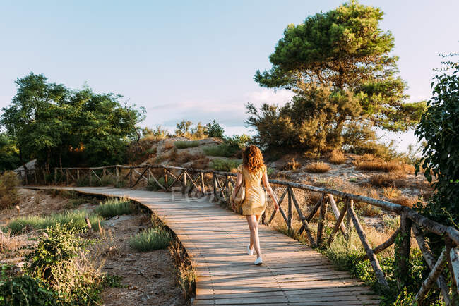 Обратный вид на неузнаваемую женщину в платье, идущую по деревянной дорожке на природе в солнечный день летом — стоковое фото