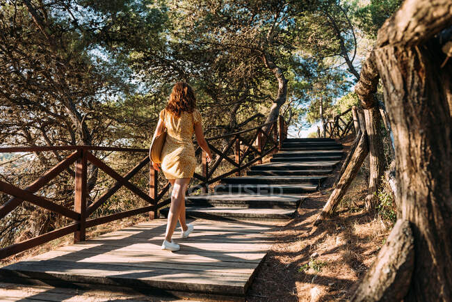 Обратный вид на неузнаваемую женщину в платье, идущую по деревянной дорожке на природе в солнечный день летом — стоковое фото