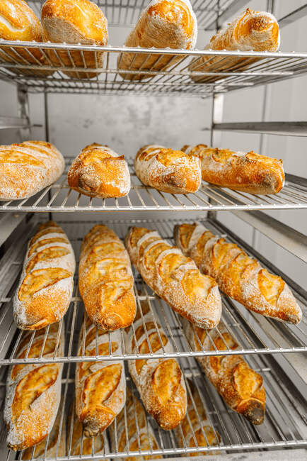 Rows of tasty oval shaped bread with golden surface and crunchy crust on metal rack shelves — Stock Photo