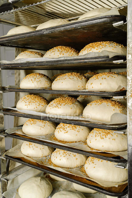 Pasta rotonda di pane cruda con semi di cereali sopra su vassoi con carta da forno — Foto stock