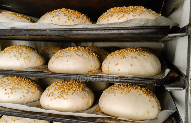Uncooked round shaped bread dough with cereal seeds on top on trays with baking paper — Stock Photo
