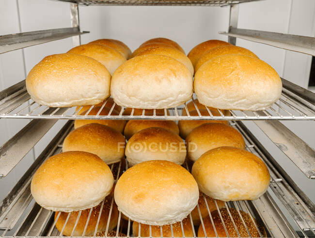 Rows of tasty round shape bread with golden surface and crunchy crust on metal rack shelves — Stock Photo