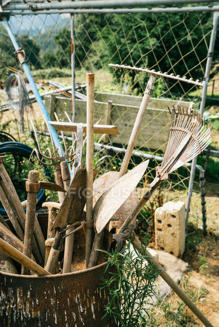 Surtido de instrumentos de granja manuales en tierra firme contra árboles verdes en el día soleado en verano - foto de stock