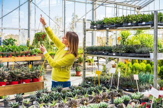 Side view of smiling female customer choosing green potted plant during shopping in garden center — Stock Photo
