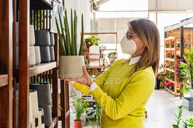 Female customer in mask standing with Sansevieria cylindrica in pot during shopping in garden center — Stock Photo