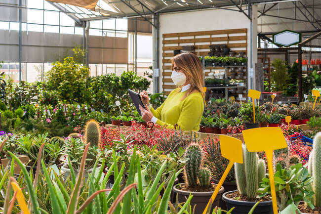Umtriebige Gärtnerin in Maske steht neben verschiedenen Pflanzen und blättert während ihrer Arbeit im Gartencenter in Tablets — Stockfoto
