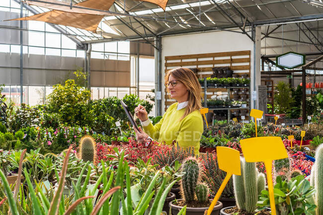 Female gardener using modern tablet while counting plants and working in garden center — Stock Photo