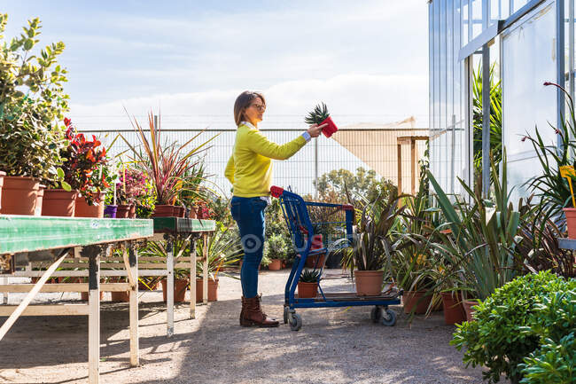 Vista lateral del cliente femenino y con una variedad de plantas en el carrito de compras de pie en el moderno centro de jardín - foto de stock