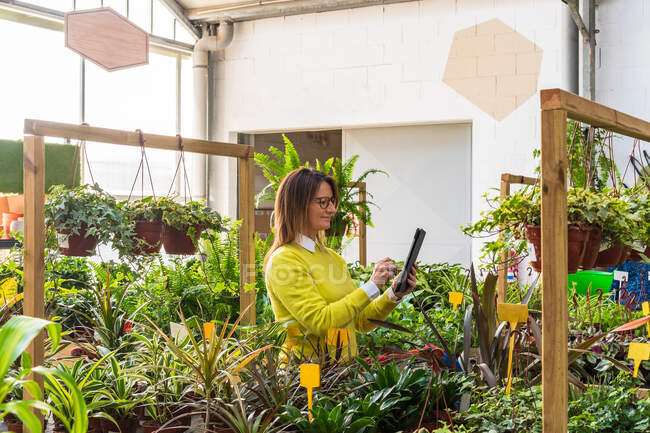 Jardinero femenino usando tableta moderna mientras cuenta plantas y trabaja en el centro del jardín - foto de stock