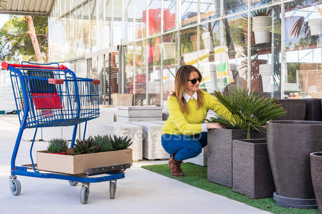 Contenido femenino cliente recogiendo macetas o plantas verdes durante las compras en el espacioso centro de jardín - foto de stock