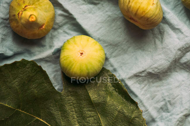 Higos verdes dulces maduros, recién cosechados de un árbol doméstico, en el mantel azul pastel. Fruta sana y orgánica. También conocido como higos blancos maduros - foto de stock