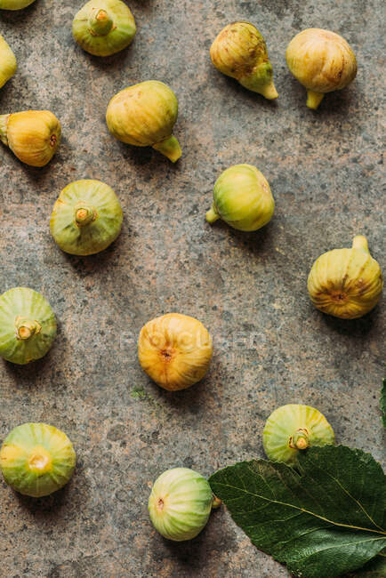 Ripe sweet green figs, freshly harvested from domestic tree, on grunge texture from above. Also known as ripe white figs — Stock Photo