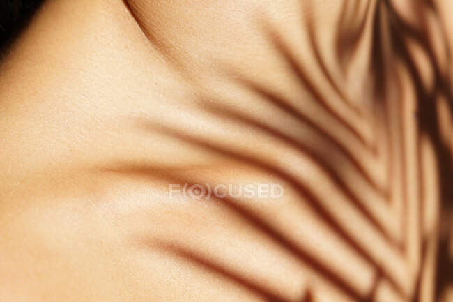 Ernte anonym zartes Weibchen mit Pflanzenschatten auf der Brust im Sonnenlicht — Stockfoto