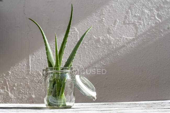 Lot de feuilles d'aloe vera vertes fraîches dans un bocal en verre placé sur une table en bois en studio — Photo de stock