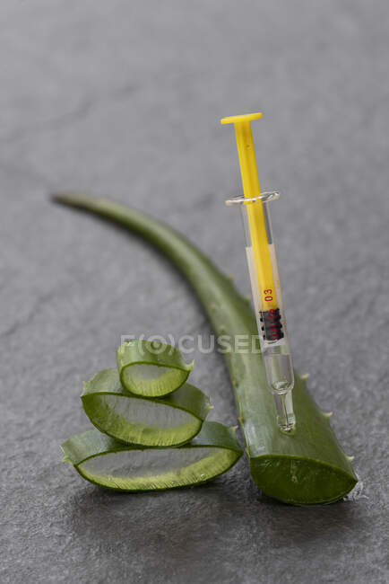 Peça e folha de aloe vera com seringa colocada sobre fundo cinzento em estúdio — Fotografia de Stock