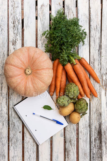 Draufsicht der Ernte von sortiertem frischem Gemüse und geöffnetem Notizblock mit Stift auf Holztisch — Stockfoto