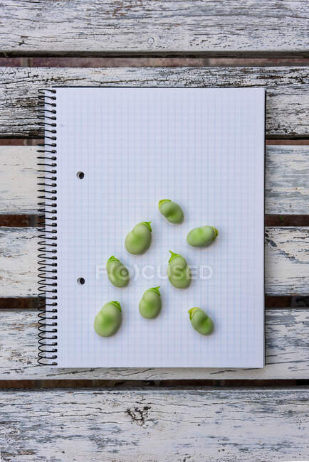 De cima de feijão verde cru e caneta colocada no bloco de notas na mesa de madeira — Fotografia de Stock