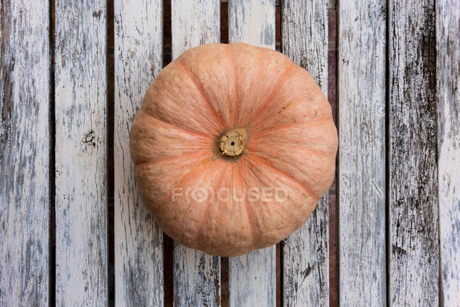 From above of fresh ripe pumpkin placed on wooden table in countryside after harvesting — Stock Photo