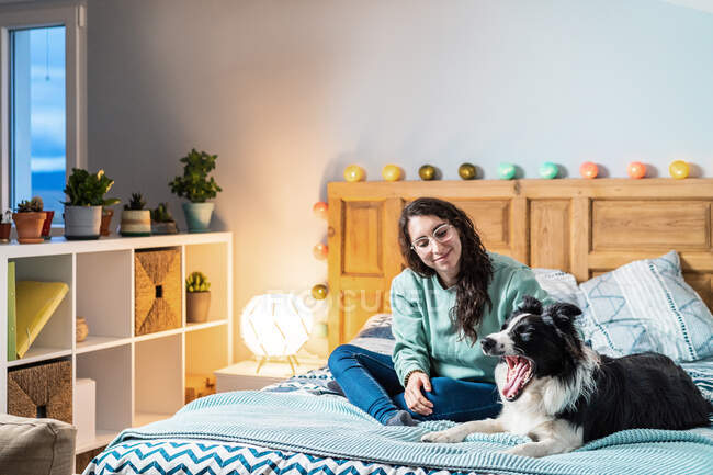 Молода жінка в окулярах сидить на ліжку з прикордонним собакою — стокове фото