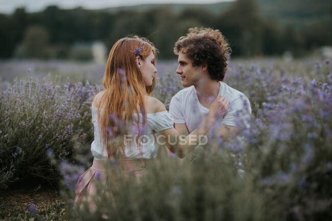 Casal sereno sentado no campo de lavanda com flores florescentes e olhando um para o outro — Fotografia de Stock